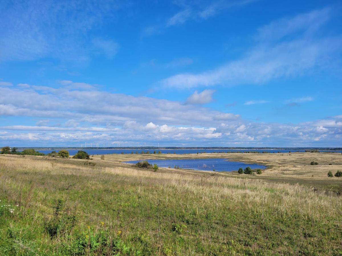 Ferienwohnung Seeblick Lausitzer Seenland Grossraeschen Dış mekan fotoğraf